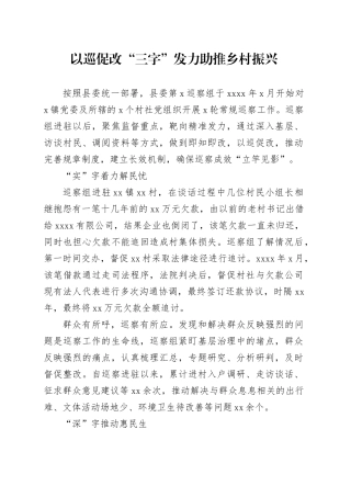 以巡促改 “三字”发力助推乡村振兴