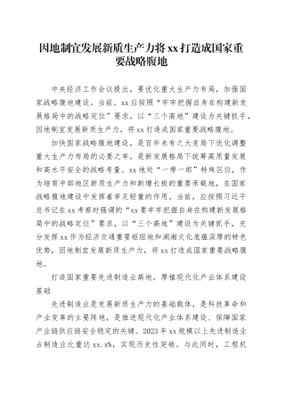 因地制宜发展新质生产力 将XX打造成国家重要战略腹地