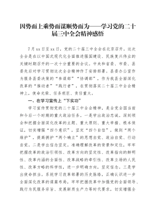 因势而上  乘势而谋  顺势而为——学习党的二十届三中全会精神感悟
