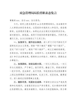 应急管理局局长任职表态发言