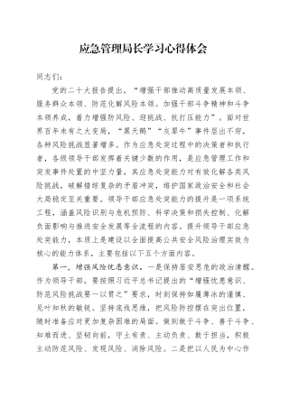 应急管理局长学习心得体会（发言）