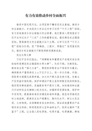 有力有效推动乡村全面振兴