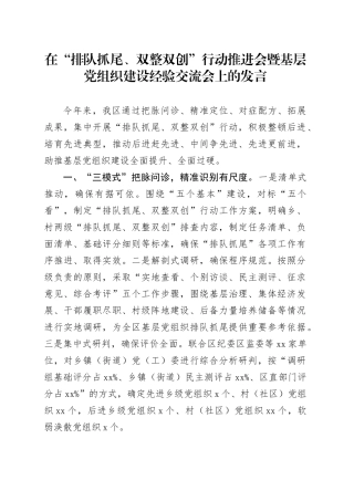 在“排队抓尾、双整双创”行动推进会暨基层党组织建设经验交流会上的发言