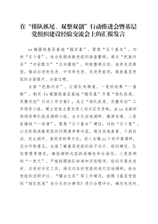 在“排队抓尾、双整双创”行动推进会暨基层党组织建设经验交流会上的汇报发言