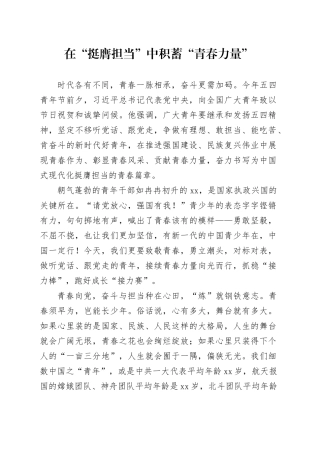 在“挺膺担当”中积蓄“青春力量”