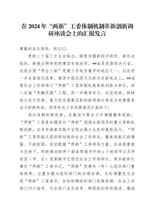 在2024年“两新”工委体制机制革新创新调研座谈会上的汇报发言