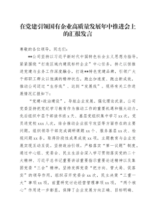在2024年党建引领国有企业高质量发展年中推进会上的汇报发言（公司）