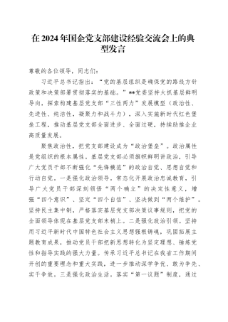 在2024年国企党支部建设经验交流会上的典型发言（公司）