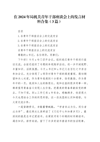 在2024年局机关青年干部座谈会上的发言材料合集（3篇）