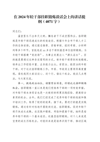 在2024年轻干部挂职锻炼谈话会上的讲话提纲（4071字）