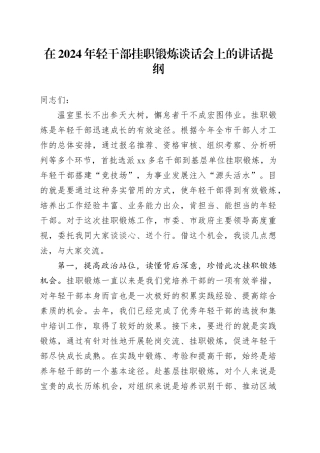 在2024年轻干部挂职锻炼谈话会上的讲话提纲