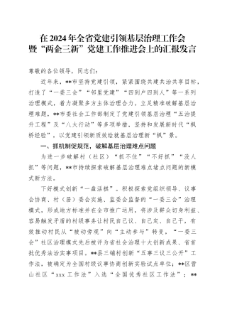 在2024年全省党建引领基层治理工作会暨“两企三新”党建工作推进会上的汇报发言
