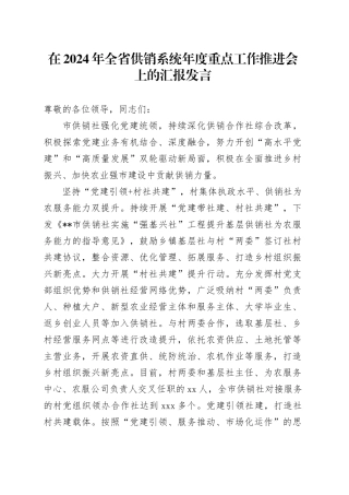 在2024年全省供销系统年度重点工作推进会上的汇报发言