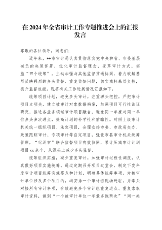 在2024年全省审计工作专题推进会上的汇报发言