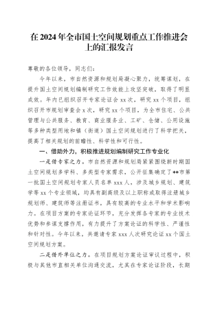 在2024年全市国土空间规划重点工作推进会上的汇报发言