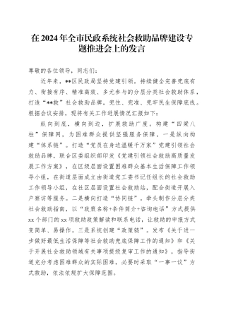 在2024年全市民政系统社会救助品牌建设专题推进会上的发言