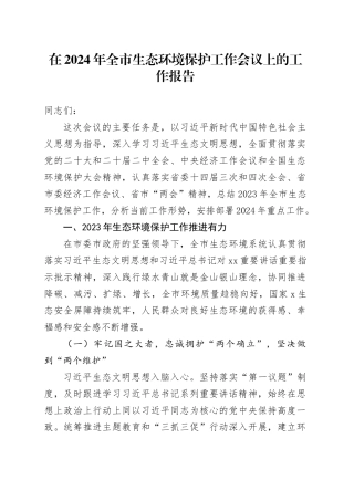 在2024年全市生态环境保护工作会议上的工作报告