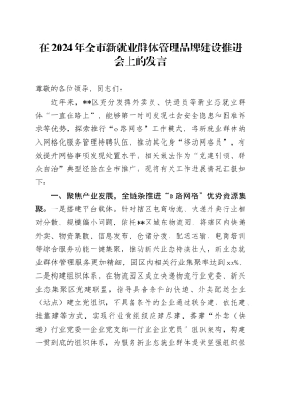 在2024年全市新就业群体管理品牌建设推进会上的发言