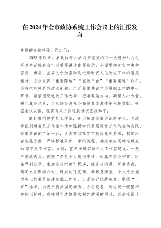 在2024年全市政协系统工作会议上的汇报发言