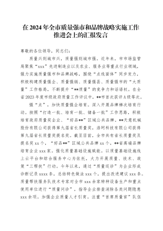在2024年全市质量强市和品牌战略实施工作推进会上的汇报发言
