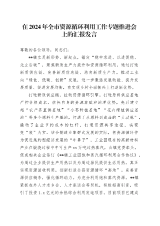 在2024年全市资源循环利用工作专题推进会上的汇报发言