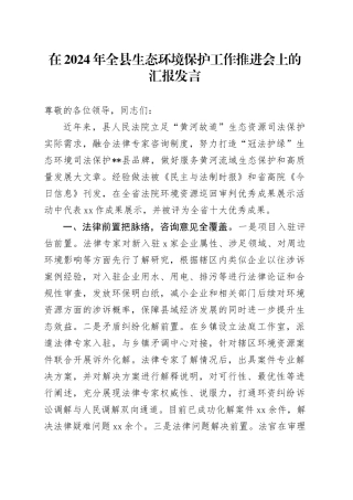 在2024年全县生态环境保护工作推进会上的汇报发言