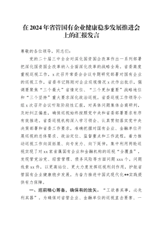 在2024年省管国有企业健康稳步发展推进会上的汇报发言