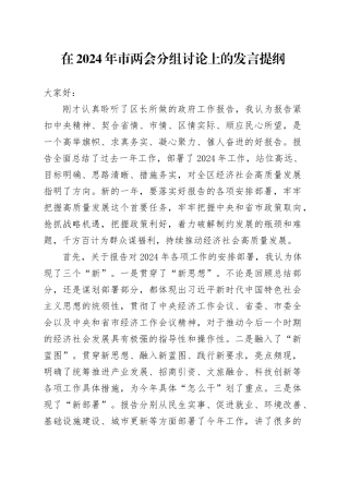 在2024年市两会分组讨论上的发言提纲