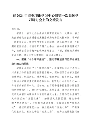 在2024年市委理论学习中心组第一次集体学习研讨会上的交流发言