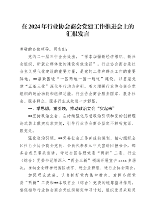 在2024年行业协会商会党建工作推进会上的汇报发言