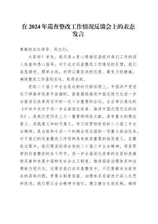 在2024年巡查整改工作情况反馈会上的表态发言