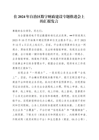 在2024年自治区数字财政建设专题推进会上的汇报发言