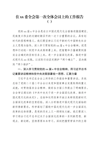 在xx委全会第一次全体会议上的工作报告（范文）