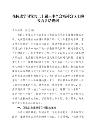在传达学习党的二十届三中全会精神会议上的发言讲话提纲