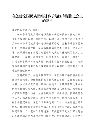 在创建全国民族团结进步示范区专题推进会上的发言