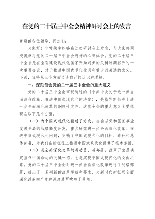 在党的二十届三中全会精神研讨会上的发言