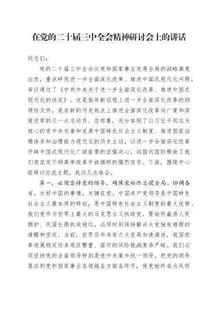 在党的二十届三中全会精神研讨会上的讲话