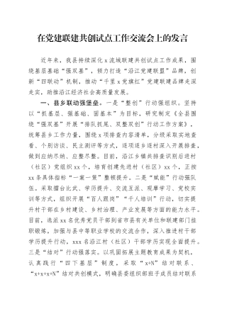 在党建联建共创试点工作交流会上的发言