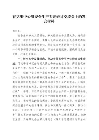 在党组中心组安全生产专题研讨交流会上的发言材料