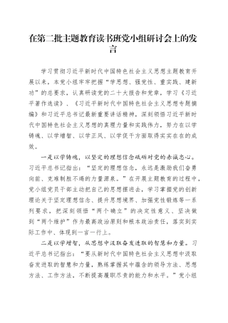 在第二批主题教育读书班党小组研讨会上的发言