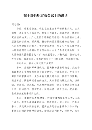 在干部任职宣布会议上的讲话