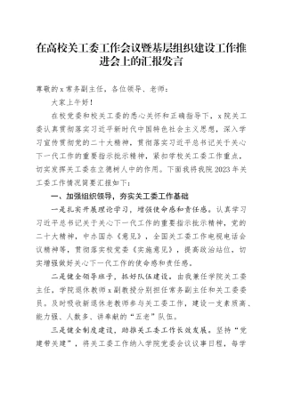 在高校关工委工作会议暨基层组织建设工作推进会上的汇报发言