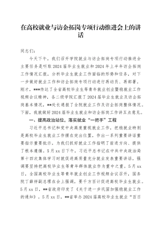 在高校就业与访企拓岗专项行动推进会上的讲话