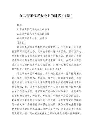 在共青团代表大会上的讲话（2篇）