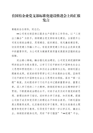 在国有企业党支部标准化建设推进会上的汇报发言