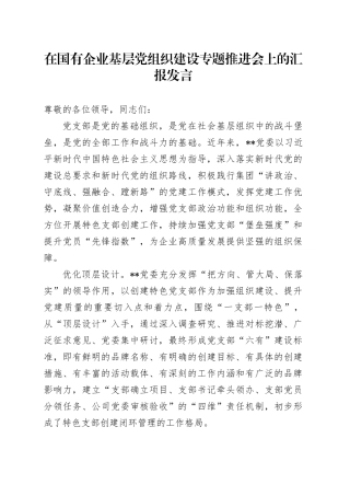 在国有企业基层党组织建设专题推进会上的汇报发言