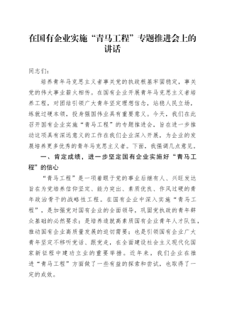 在国有企业实施“青马工程”专题推进会上的讲话