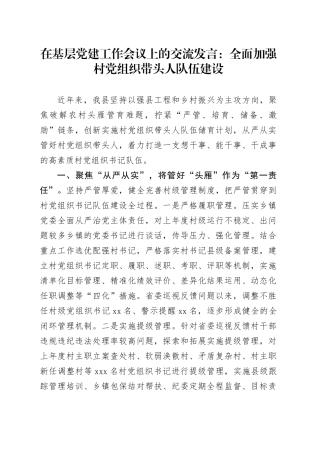 在基层党建工作会议上的交流发言：全面加强村党组织带头人队伍建设