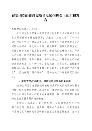 在集团党的建设高质量发展推进会上的汇报发言