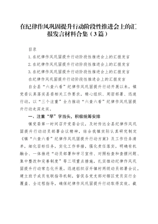 在纪律作风巩固提升行动阶段性推进会上的汇报发言材料合集（3篇）